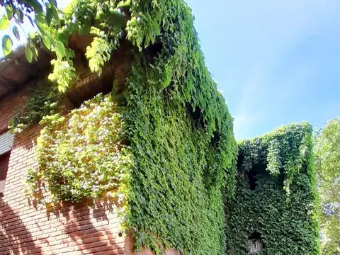 Terreno en Venta 34  mts Fondo