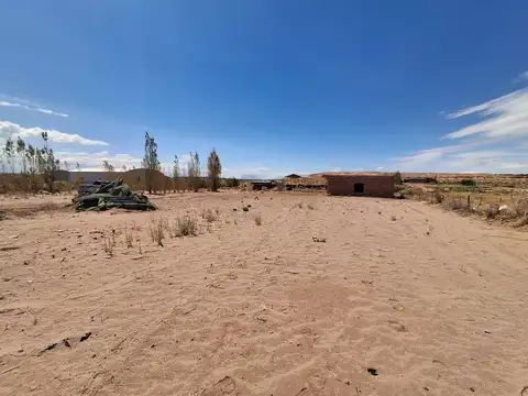 Ruta 5 100