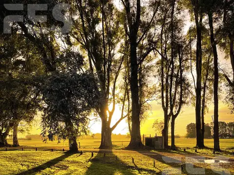 Chacras de San Andres, S. A. de Giles, Bs. As.