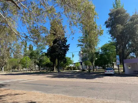 Ruta Provincial 50 900