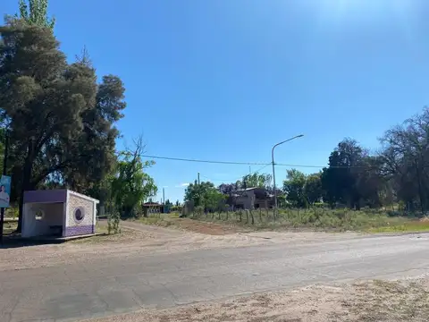 FINCA EN VENTA - LA DORMIDA