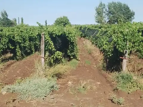 Ruta Provincial 50 900