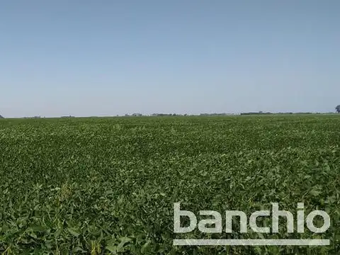 118 HA AGRICOLAS SAN GENARO