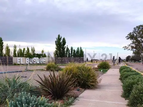 Lote en Venta B° El Bosque II-Rodeo de la Cruz-ID:253279