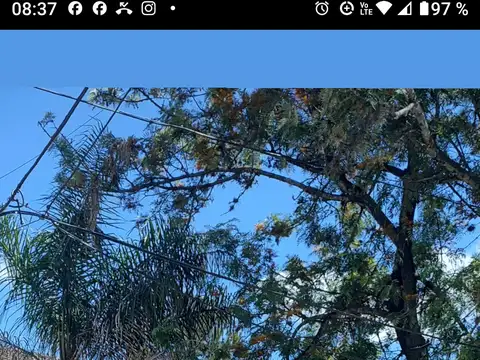 Quinta en Venta de 3 dormitorios