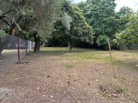 Terreno en Venta de 555,0 m2