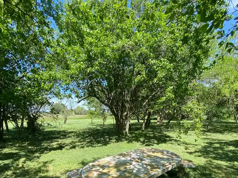chacra en venta en Vitel