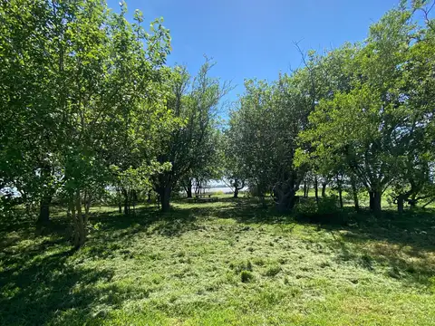 Terreno en Venta de 22785,0 m2