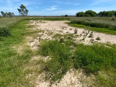VITEL