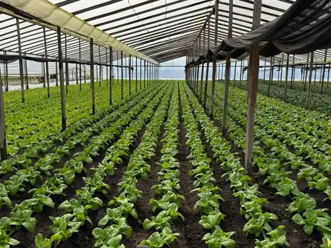 Casa en Venta en Abasto, USD 270.000