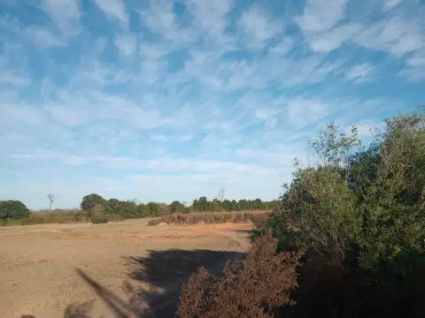 VENTA HECTAREAS CAMINO 60 CUADRAS