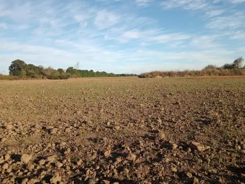 CAMINO 60 CUADRAS KM 12