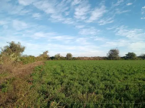 CAMINO 60 CUADRAS KM 12