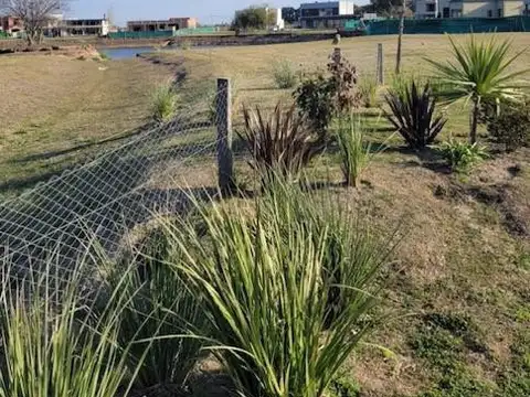 Terreno en Venta 17  mts Frente