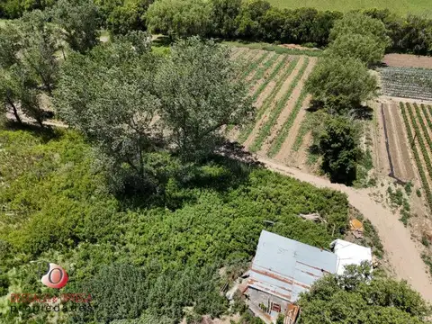 Camino 60 Cuadras 100