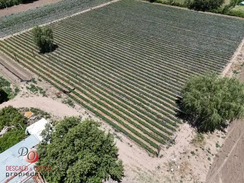 Terreno en Venta en Guiñazu, USD 150.000