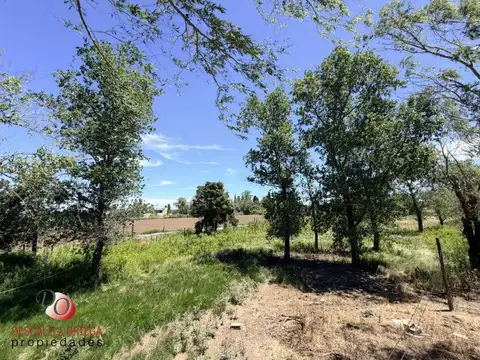 Terreno en Venta en Guiñazu, USD 150.000