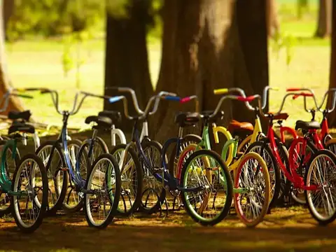 TERRENO Y LOTE - GRAL RODRIGUEZ