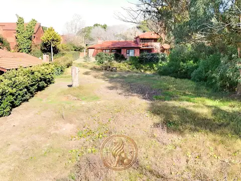 Terreno en Venta 25  mts Fondo