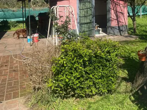 Teresa De Jesús 2300