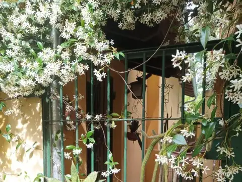 Teresa De Jesús 2300