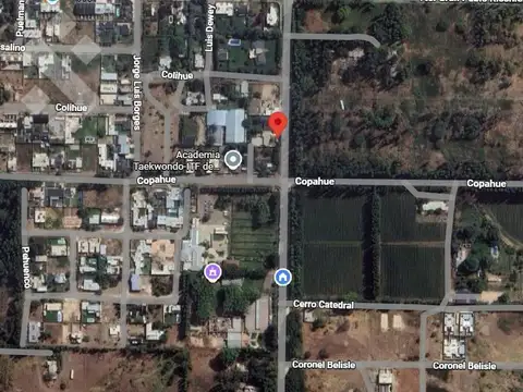 Terreno en Venta de 250,0 m2