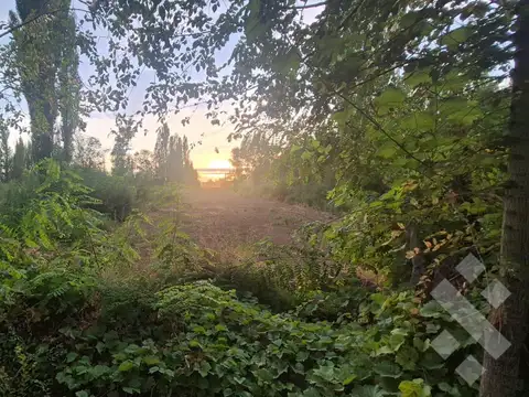 Terreno en Venta 25  mts Fondo