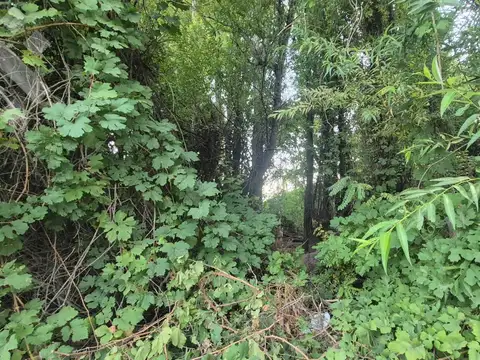 Terreno en Venta en Confluencia, USD 44.000
