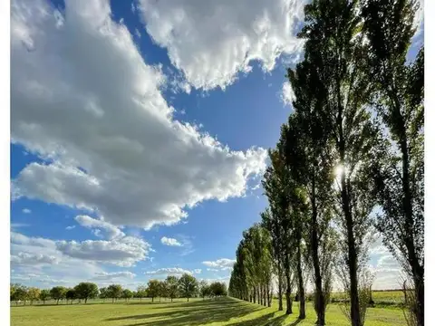 Haras de Funes