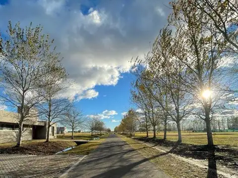 Terreno en Venta de 1029,0 m2