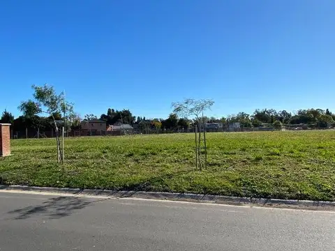 Lote central en SANTA SOFIA