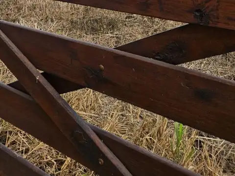 Campo en Venta Chacra