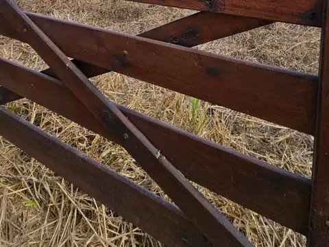 8.54 HECTAREAS A 600 METROS DE LA RUTA 2 MONTE VERA