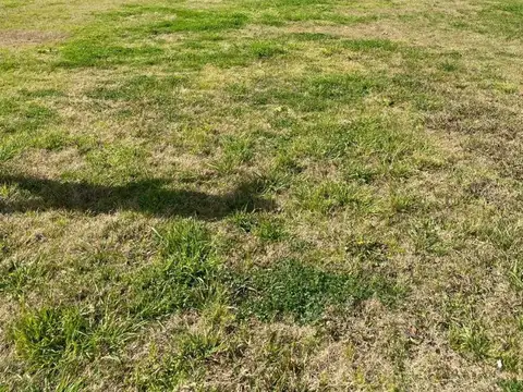 Terreno en Venta en Puertos - Araucarias, USD 80.000