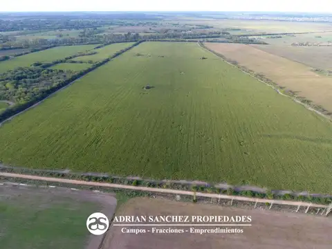 64 HAS AGRICOLAS EN LOS CARDALES