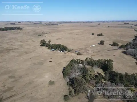 Único campo mixto de 650 has con estupendo casco a 2500mts de Ruta 29 a una hora de CABA. - C. Brandsen