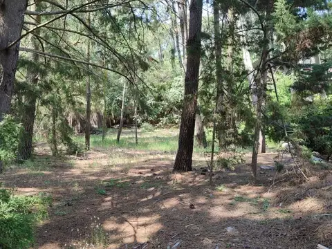 Lote en venta de 1350m2 ubicado en Mar de las Pampas