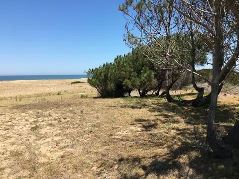 Terreno - Venta - Uruguay, ROCHA