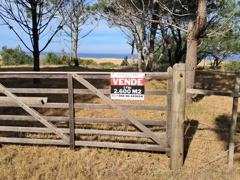 Terreno - Venta - Uruguay, ROCHA