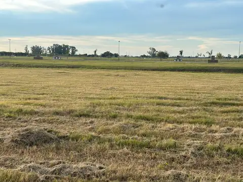 Terreno en Venta de 1030,0 m2