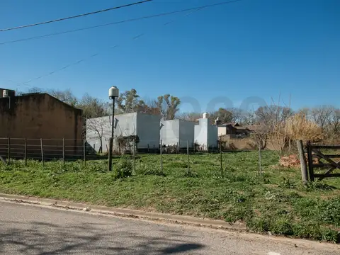 Aristobulo del Valle 100
