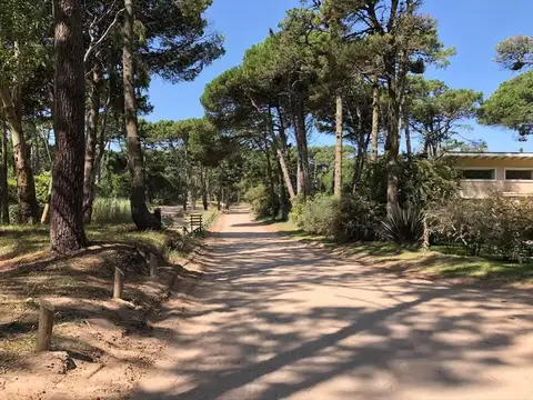 divisadero y lapacho