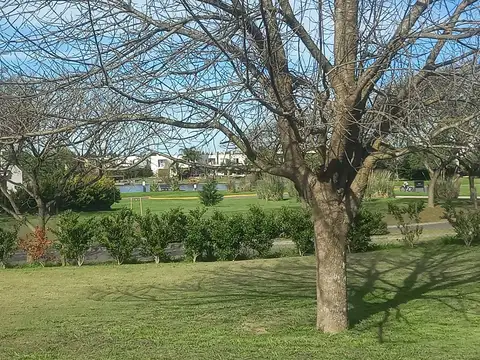 Av de los lagos- Vistas 100