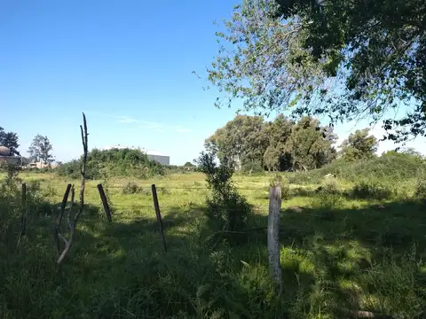 Campo en Venta de 3  ha