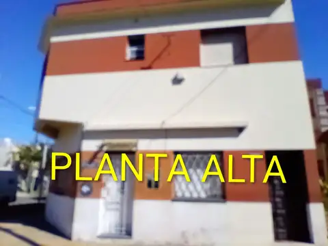 Oyuela 100, Piso 1