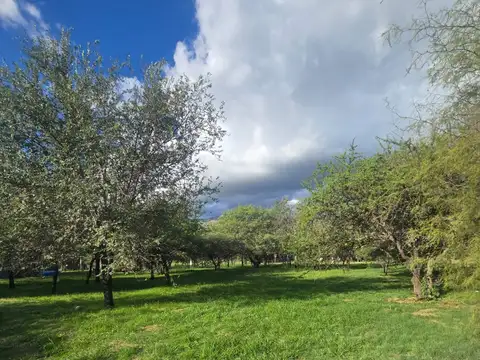 Terreno en Venta de 360,0 m2