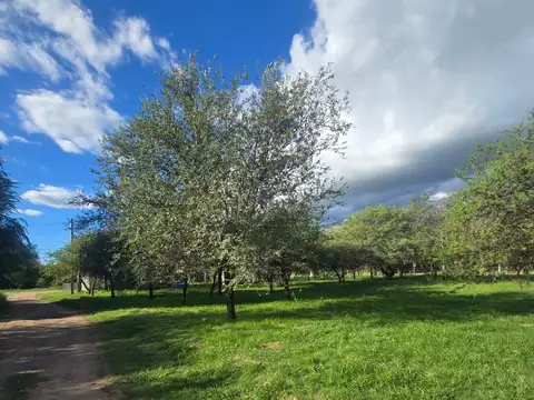 1 cuadra de juana Azurduy