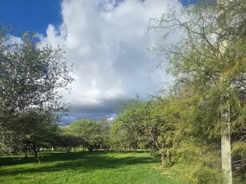 Terreno en Venta en Centro, USD 18.000