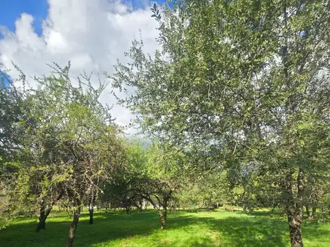 SG INMOBILIARIA VENDE | LOTES EN VILLA DE MERLO  OPORTUNIDAD ÚNICA DE INVERSIÓN  Terrenos ubicados a menos de nueve cuadras del centro de Villa de Merlo, San Luis, en un entorno arbolado, con excelente vista a las Sierras y cercanía a los principales serv