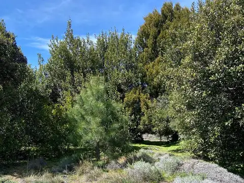 Terreno en Los Faldeos de Chapelco